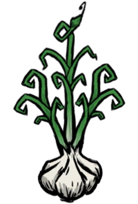 File:Garlic Plant.webp