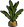 Carrot Plant.png