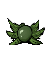The animation played when a Boomberry regrows