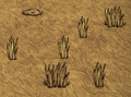 Inconspicuous Mounds found in the savannah biome.