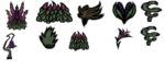 Hooded Ferns.png